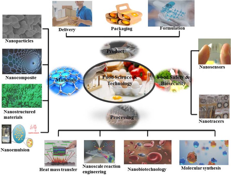 Steps of food management